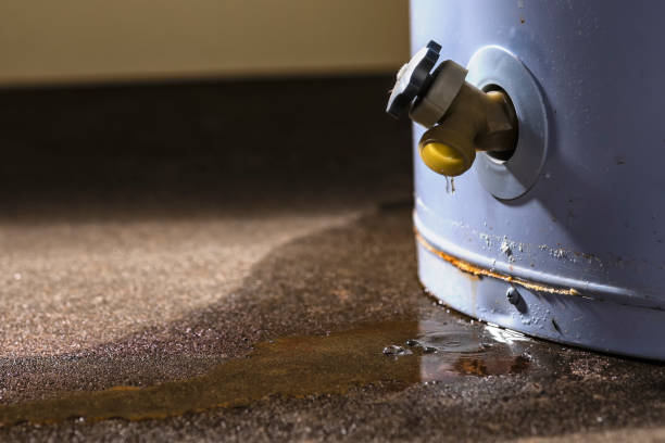  Iyanbito, NM Water damage restoration Pros