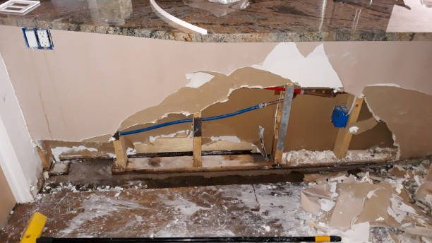 Best Sewage cleanup and water damage restoration  in Iyanbito, NM