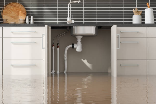 Best Professional water damage repair  in Iyanbito, NM