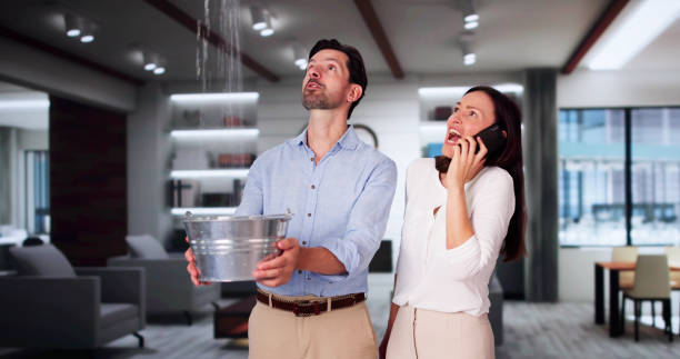 Best Basement water damage restoration  in Iyanbito, NM