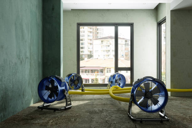Best Commercial water damage restoration  in Iyanbito, NM