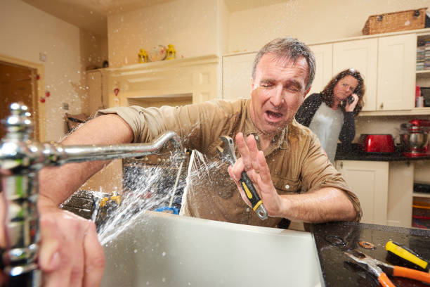 Best Water damage cleanup near me  in Iyanbito, NM